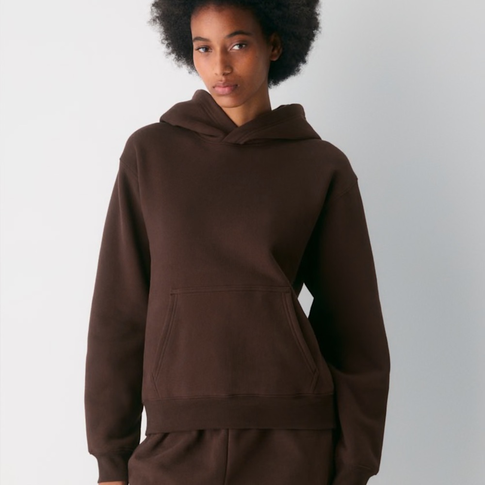 Aritzia Cozy Sweatfleece Perfect Hoodie
